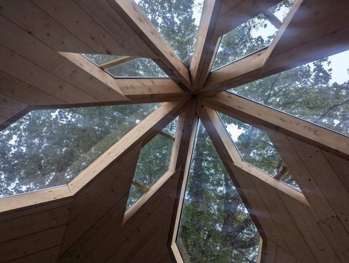 PXL 20240905 174922452